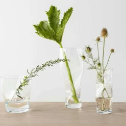 Squeeze Tulip Vase 18 cm, Clear