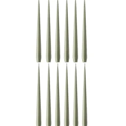 Taper Candles Lacquered 32 cm 12-pack, Eucalytus