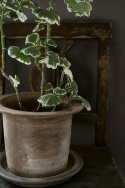 Terracotta Pot With Saucer Ø18 cm