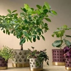 Trio Square Pot Beige, 18 cm / Medium