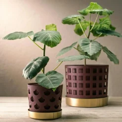 Trio Square Pot Dark Red, Ø12 cm / Small