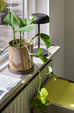 Velo Table Lamp, Sand