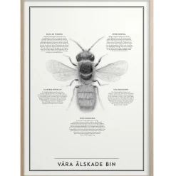 Våra Älskade Bin Poster 50x70 cm